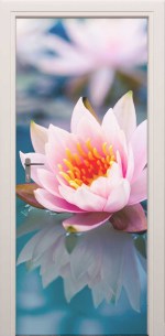 XL deursticker waterlely 54466097